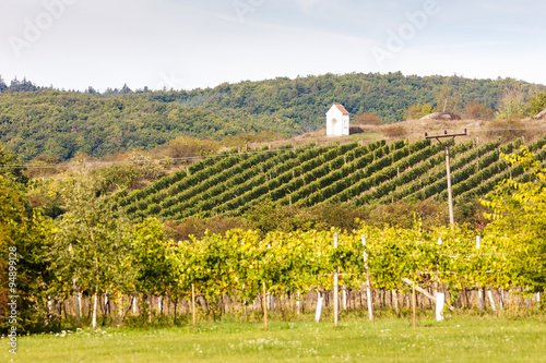 God's torture near Hnanice with autumnal vineyard, Southern Mor photo