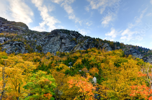 Fall Foliage Vermont