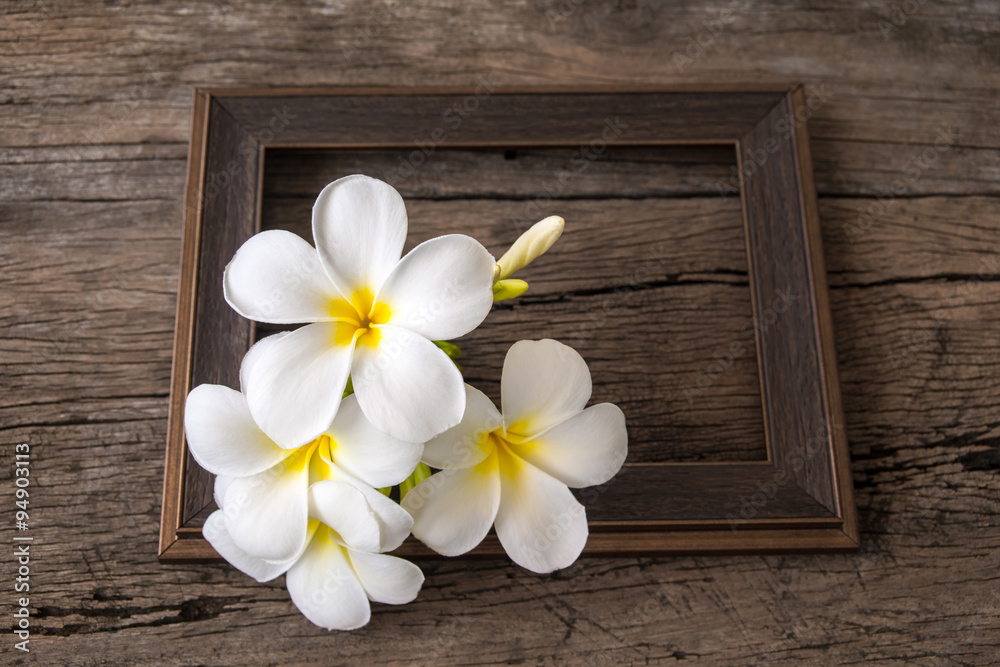 Plumeria flower on wood and picture frame Plumeria flower on wood and picture frame