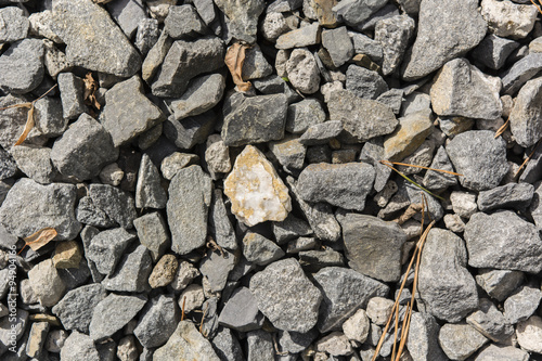 Wallpaper Mural stone path with a rock in the middle Torontodigital.ca
