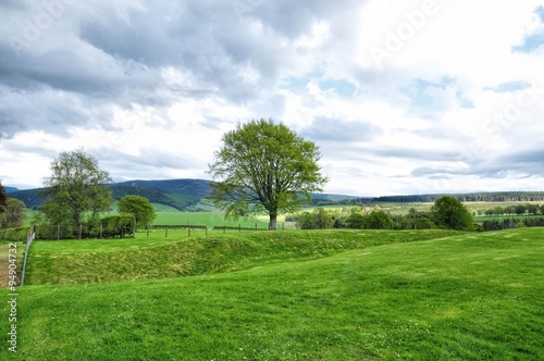 Rural area of farm field in Scotland © NuFa Studio