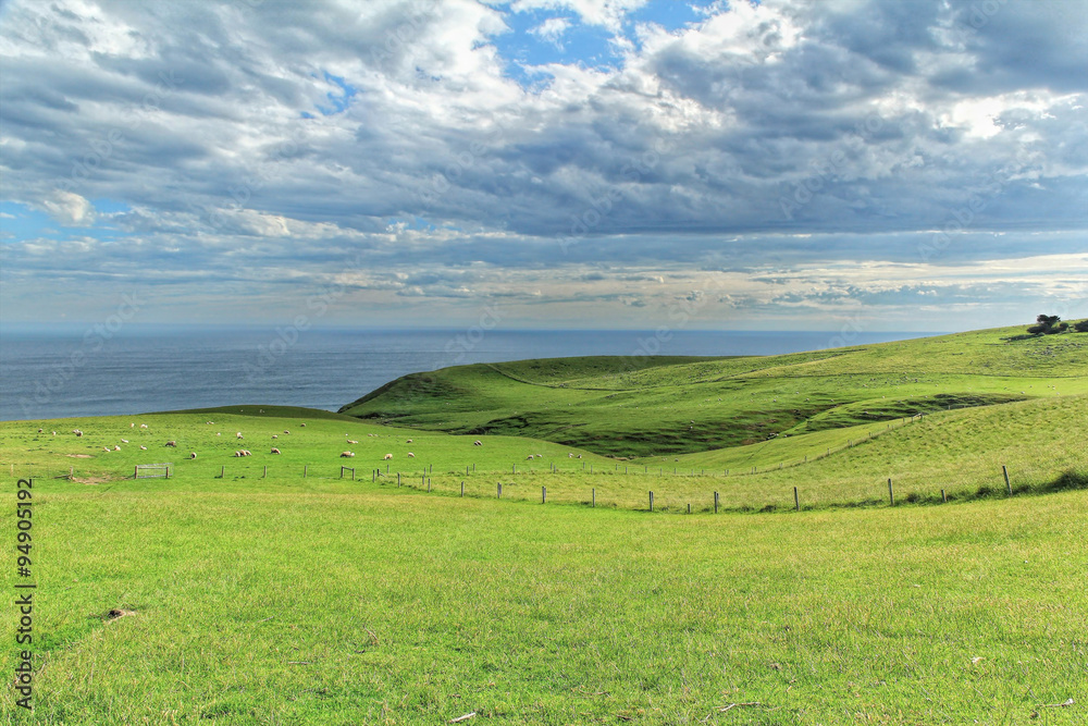 Coastal view from top of the grassland mountain in Dunedin, Otago Peninsula, South Island New Zealand