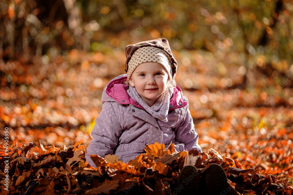herbstlaub herbstlaub