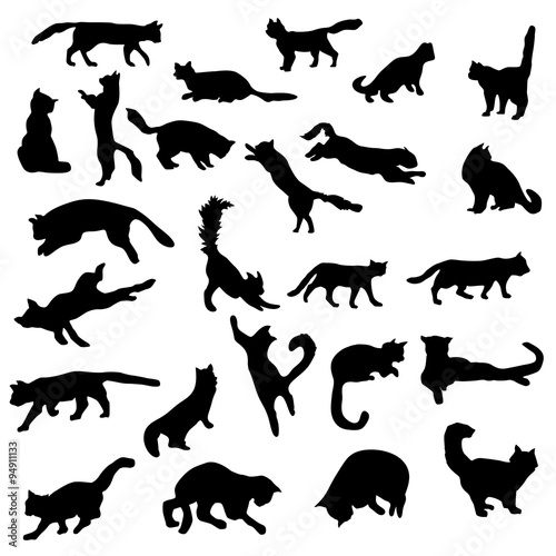Fototapeta Naklejka Na Ścianę i Meble -  Cats silhouettes set