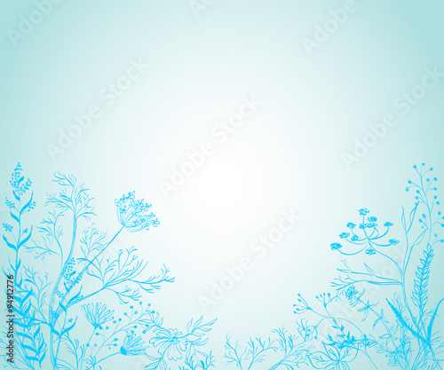 Medicinal herbs and plants against a blue background