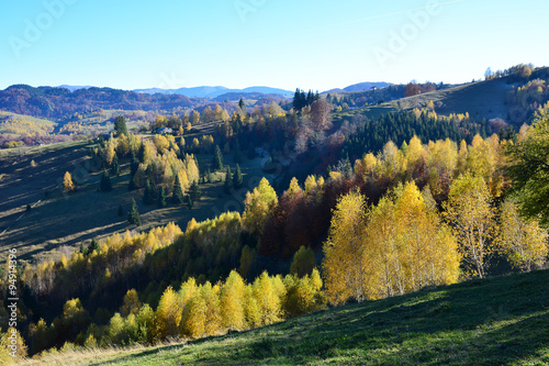 Autumn scene  colorful trees on the hill in Sirnea village  Romania