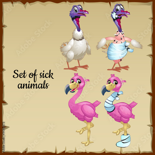 Cartoon characters, sick and healthy Flamingo