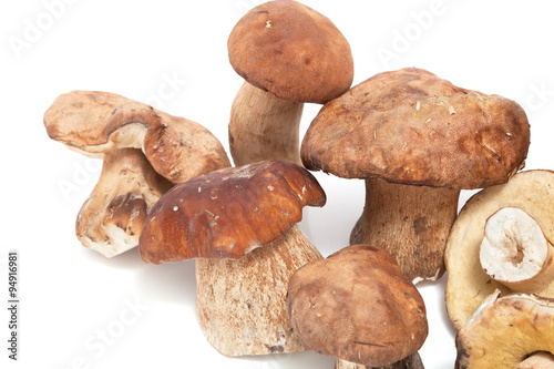 Two rows of cut mushrooms on white background