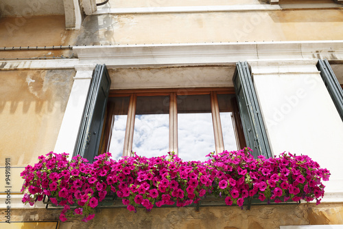 Fototapeta Naklejka Na Ścianę i Meble -  Flower decoration on window/Beautiful pink flowers on balcony