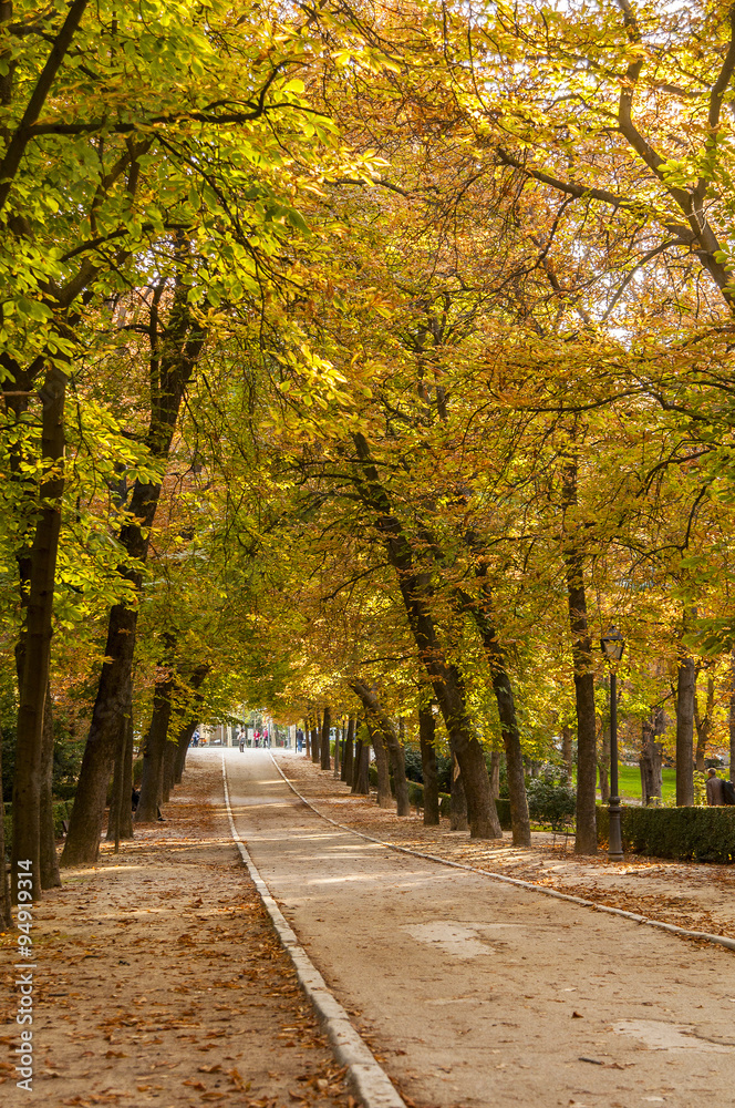 Autumn in Retiro Park, Madrid.