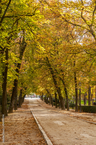 Autumn in Retiro Park  Madrid.