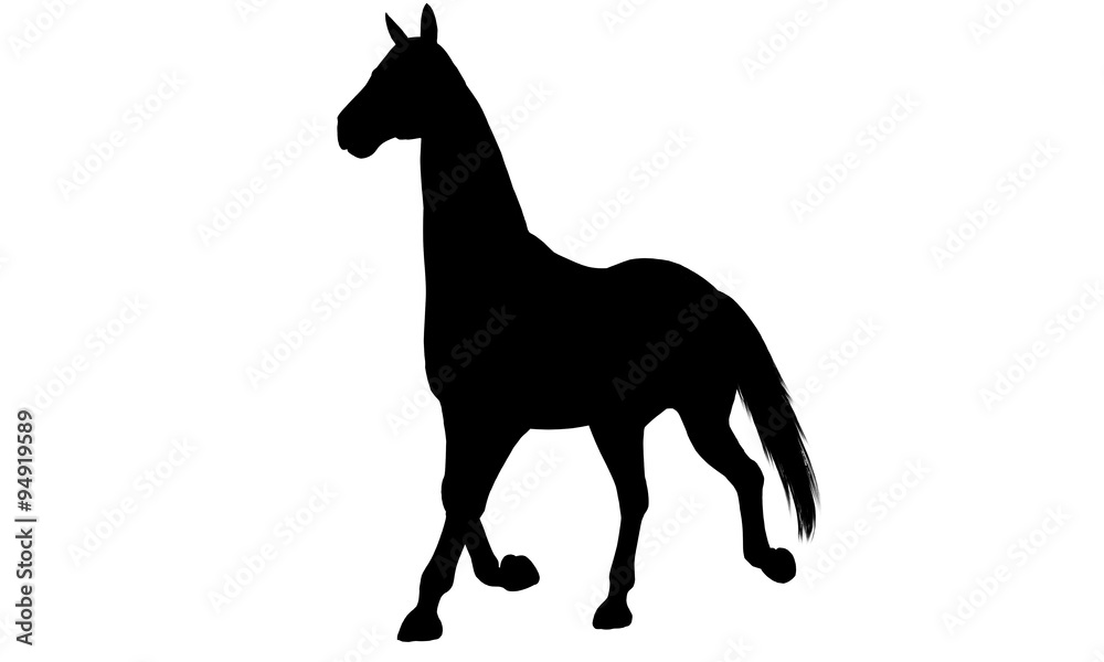 Fototapeta premium Horse silhouette