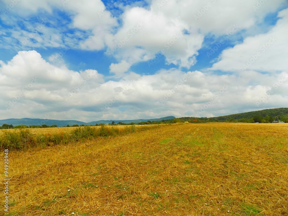 Fototapeta premium Field after harvest, hills and sky