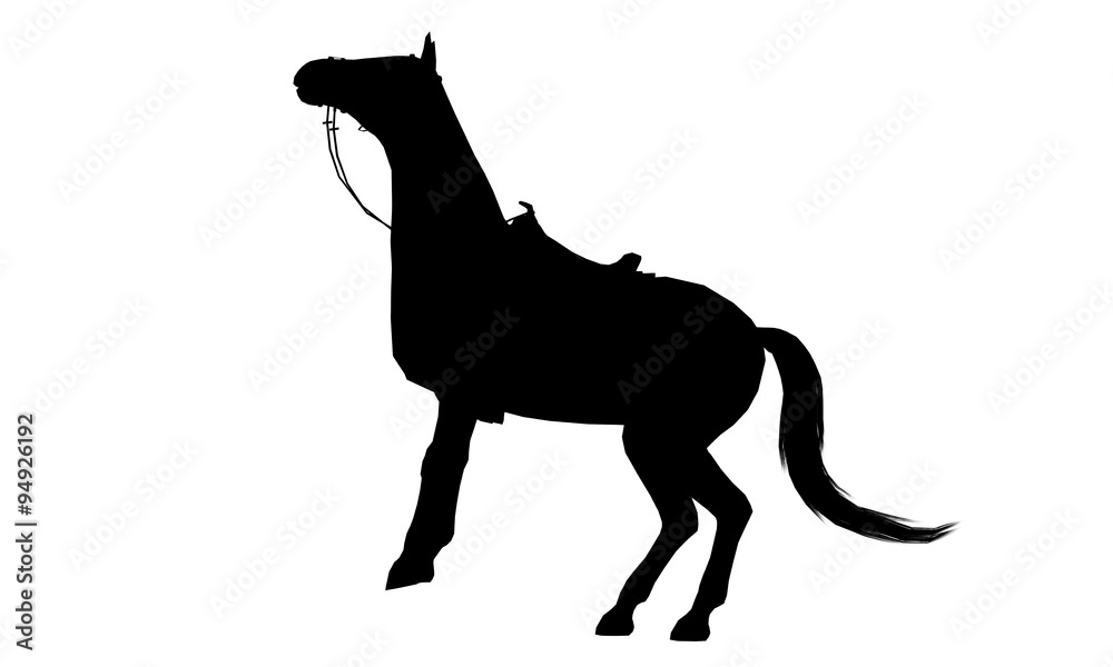 Fototapeta premium Horse silhouette