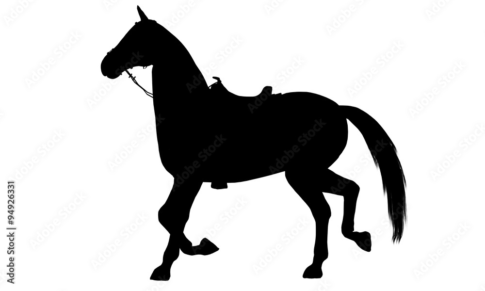 Obraz premium Horse silhouette