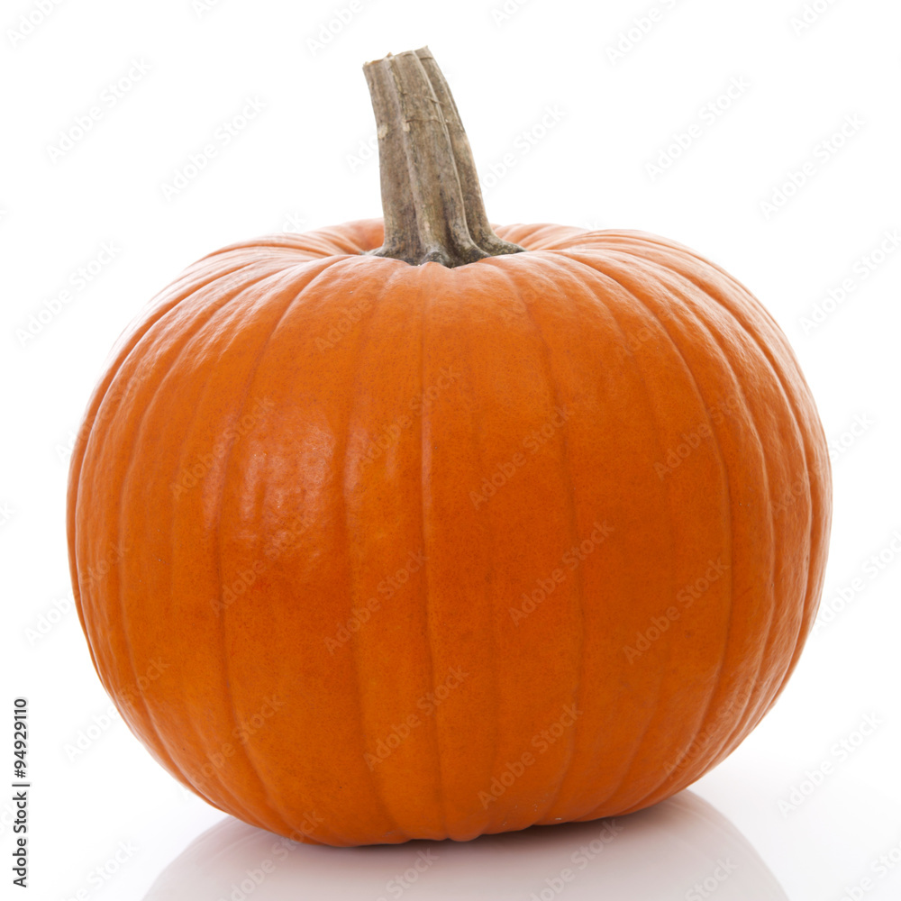 Obraz premium big orange pumpkin isolated on white background