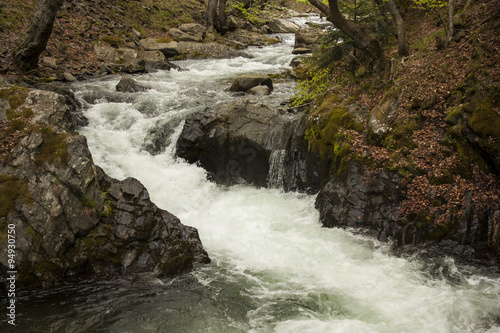 Fototapeta Naklejka Na Ścianę i Meble -  Waterfall in forest