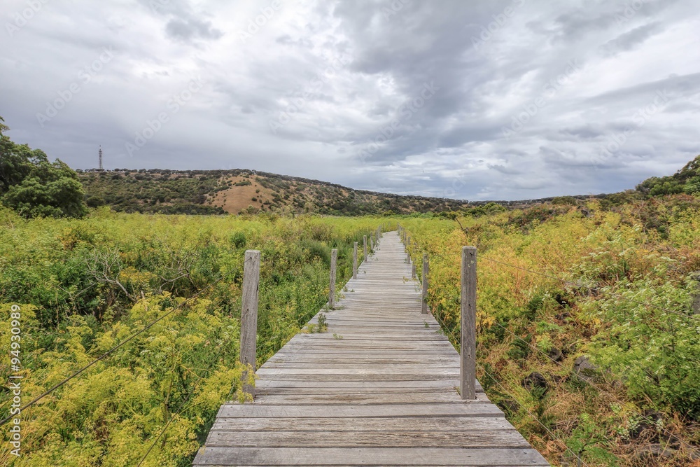 Wooden bridge in Adelaide reserve forest