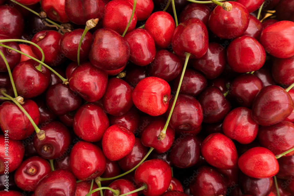 Red Cherries. Cherry selection. ripe berries cherries Red Cherries. Cherry selection. ripe berries cherries
