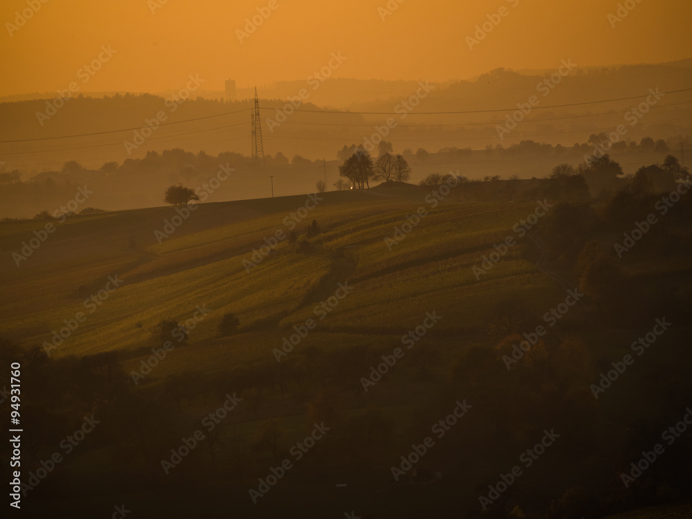 Weinberg im Herbst Weinberg im Herbst