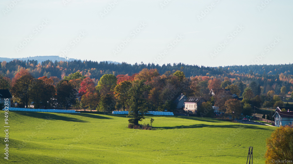 Autumn colours