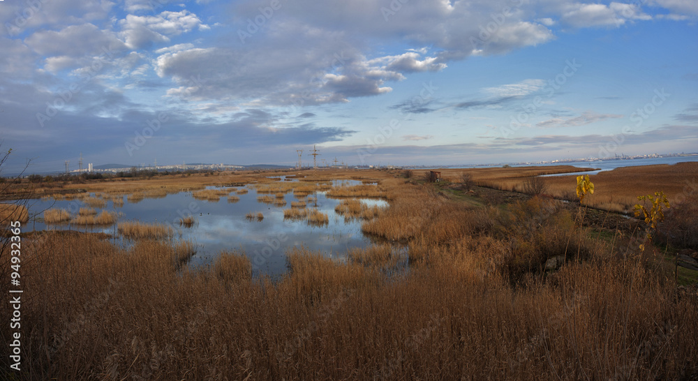 Panorama of marsh from high angle Panorama of marsh from high angle