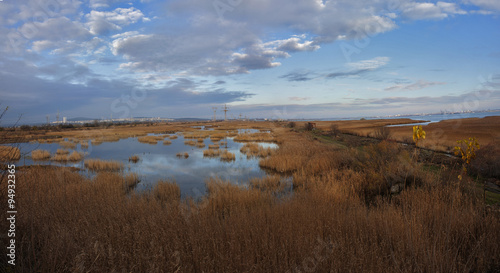 Panorama of marsh from high angle