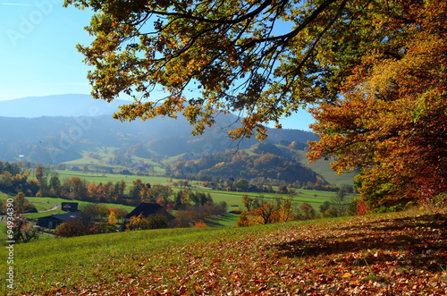 Fototapeta Naklejka Na Ścianę i Meble -  Schwarzwaldlandschaft im Herbst