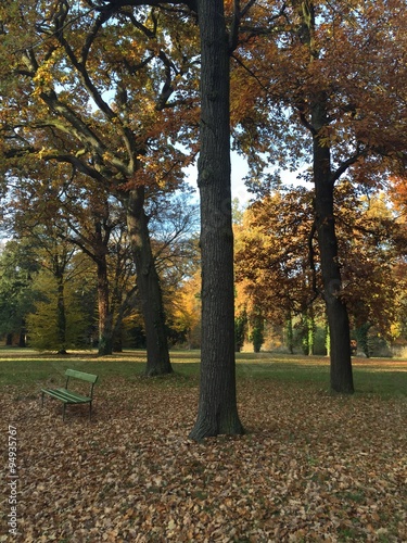 Einsame Parkbank im Herbst