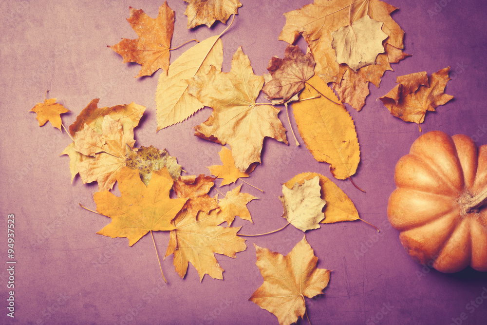 Yellow autumn leafs and pumpkin Yellow autumn leafs and pumpkin