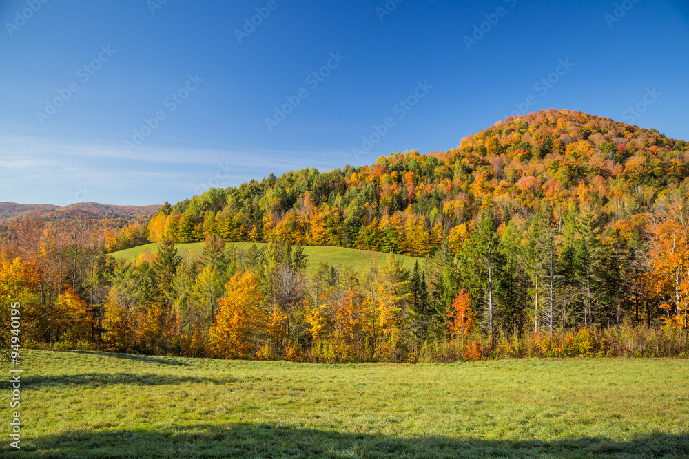 Autumn foliage in Vermont countryside, VT