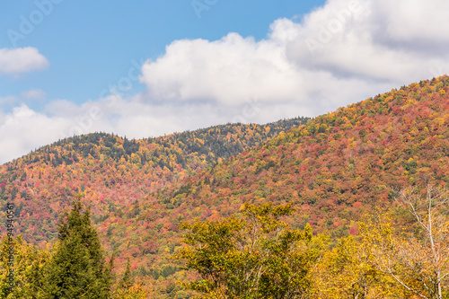 Autumn foliage in White mountain National forest, New Hampshire