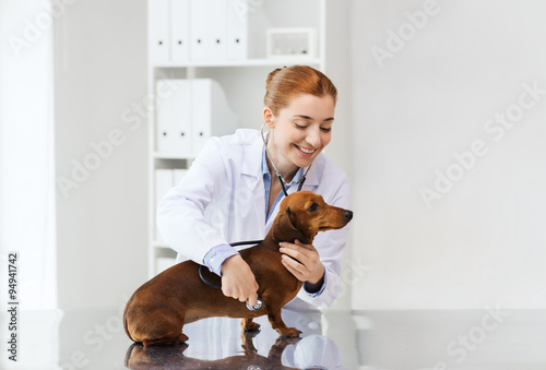 doctor with stethoscope and dog at vet clinic