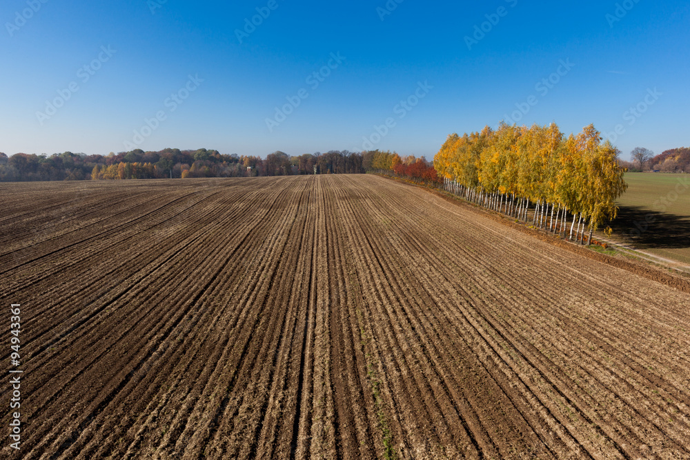 Aerial view of autumn agricultural field 

