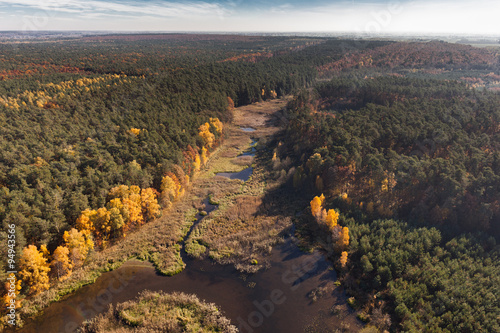  autumn, Aerial view of autumn forest 