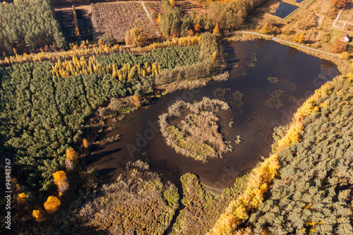  autumn, Aerial view of autumn forest
 photo