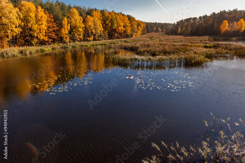  autumn, Aerial view of autumn forest
 photo