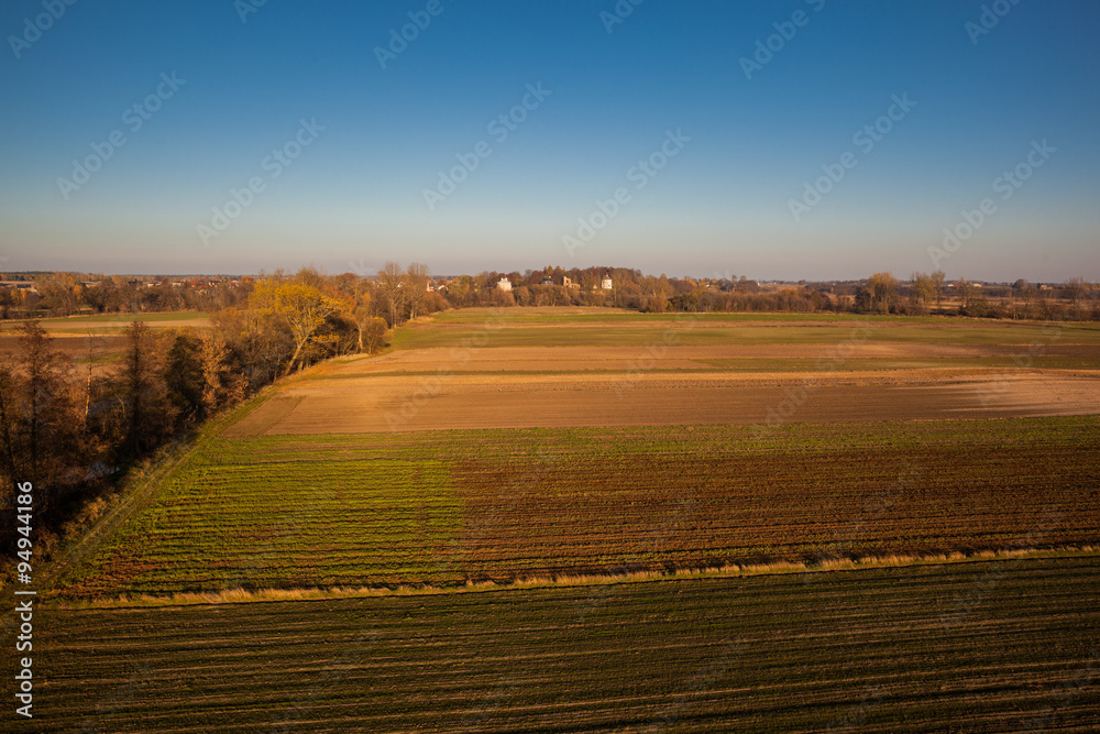 Fototapeta premium Aerial view of autumn agricultural field 