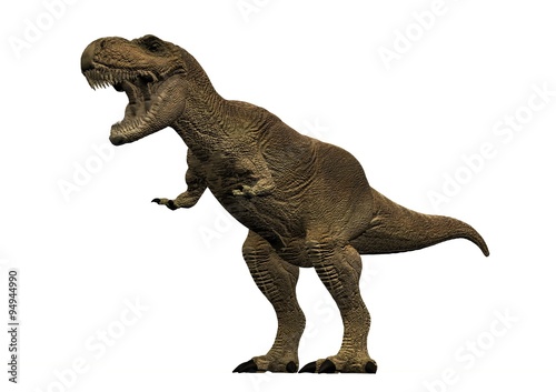 Tyrannosaurus Rex © G3D Studio