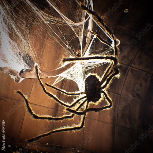 A Scary Spider