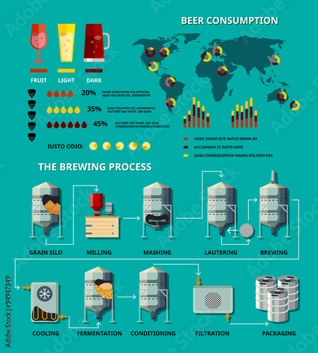 Vector beer infographic
