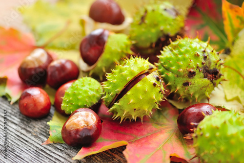 Fresh chestnuts with maple leaves on wooden background