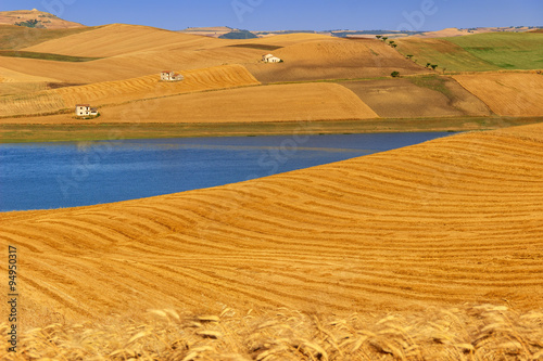 RURAL LANDSCAPE SUMMER.Between Apulia and Basilicata wheat fields harvested. Lake Basentello  Poggiorsini  -ITALY-