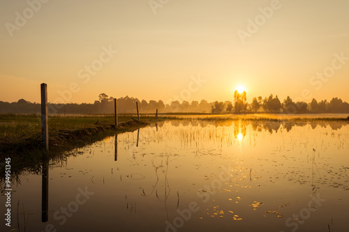 Sunrise over the river © kriangphoto31