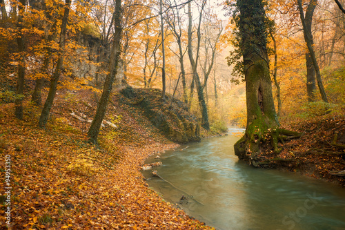 Flowing stream on colorful autumn forest