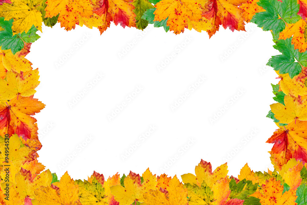 Autumn leaves frame over white for your text Autumn leaves frame over white for your text