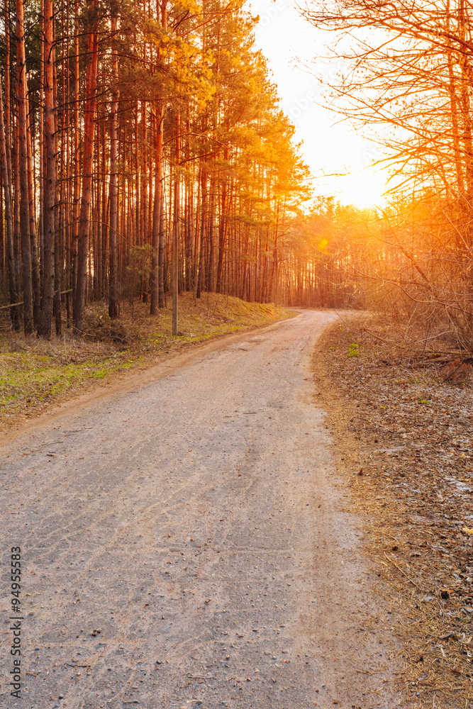 Sun shining over road, path, walkway through forest. Sunset Sunr