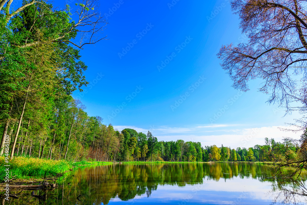 Fototapeta premium Nature with Trees Reflected in Lake