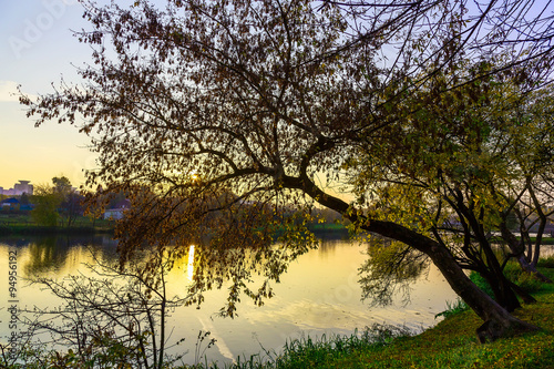 Branches of Autumn Tree Hanging over Lake