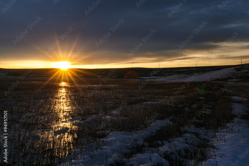 Fototapeta premium dawn in the spring field